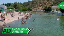 Andalucía Directo | Viernes 17 de julio