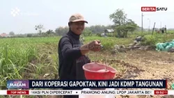 Koperasi Desa Merah Putih Bantu Petani Tangunan Mojokerto. #beritasatumalam