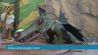 KOUZLO LOUTEK NA ZÁMKU V POLNÉ