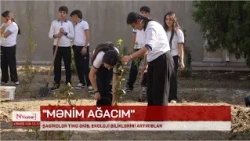 Naxçıvanda şagirdlər ting əkib, ekoloji biliklərini artırıblar