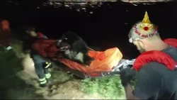 Genova, Baloo non riesce più a camminare: il salvataggio del Bovaro del Bernese in barella