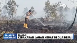 SUMSEL TODAY - MASSIVE LAND FIRE IN TWO VILLAGES