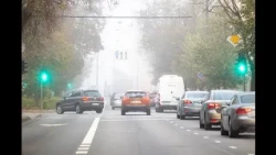 Sinoptikai praneša, koks bus savaitgalis: matomumą prastins rūkas, tačiau džiugins rudeniška šiluma