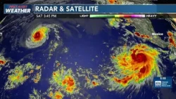 Hurricanes Fausto and Genevieve in the North Pacific