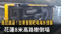 薔琵進逼! 台東香蘭靶場遭海水灌入 花蓮8米大樹倒塌－民視新聞