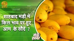 Mandi News: At What Price Did Mango Deals Close in Shahbad Mandi? | Latest Market Rates | DD Kisa...