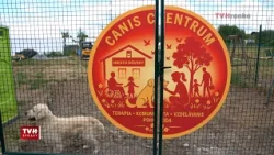 Vo Zvolene vzniká prvé Canisterapeutické centrum na Slovensku