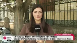 Υπόθεση Μαζωνάκη: «Φύλλο και φτερό» τα οικονομικά των γιατρών