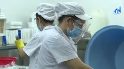 Tay Ninh: Strict Food Safety Control for Higher Agricultural Value