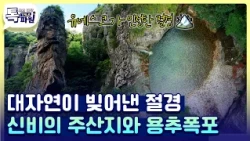주산지의 신비와 용추폭포의 웅장함✨ 유네스코 세계지질공원 청송 클래스