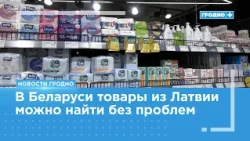 What is the status of products on Grodno store shelves?