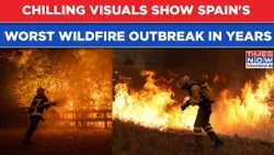Watch: Chilling Visuals Show Spain's Worst Wildfire Outbreak In Years; Trigger Mass Evacuations