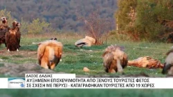 Περισσότεροι ξένοι επισκέπτες κάνουν φέτος τουρισμό στη Δαδιά σε σχέση με πέρυσι