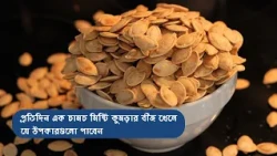Health Benefits of Pumpkin Seeds | প্রতিদিন এক চামচ মিষ্টি কুমড়ার বীজ খেলে যে উপকারগুলো পাবেন