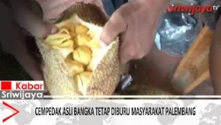 Cempedak Asli Bangka Tetap Diburu Masyarakat Palembang