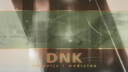 DNK - Pristina (14.08.2026.)