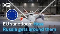 How does Russia keep evading sanctions? | DW News