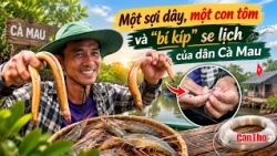 A String, a Shrimp, and the Cà Mau Locals' Secret to Catching Mud Eels | Cần Thơ