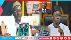 Constitutional Review, Dismissal of Pastef DGs, Senegal vs. Belgium: Analysis by Cheikh Bara