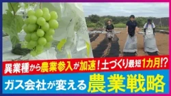 【LBS】異業種からの参入 スタートアップと取り組む農業