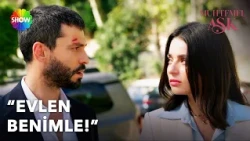 Will Defne and Kadir be able to reunite with Ali? | Likely Love Episode 13