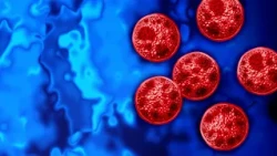 Cyclospora Outbreak Puts Food Safety to the Test