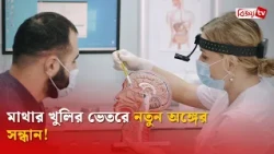 মাথার খুলির ভেতরে নতুন অঙ্গের সন্ধান! Bijoy TV