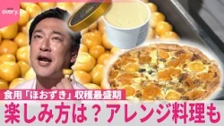 【いまダケッ】食用「ほおずき」が収穫最盛期  楽しみ方は...「ほおずきのキッシュ」！？アレンジ料理も  茨城・高萩市