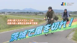 【CHALLENGE IBARAKI】#80 "Exploring Lake Kasumigaura in Early Summer on the Rin-Rin Road"