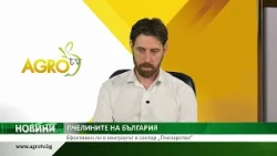 ПЧЕЛИНИТЕ НА БЪЛГАРИЯ: Ефективен ли е контролът в сектор „Пчеларство“