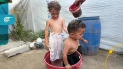 بالفيديو | خيام غزة صيفاً: معركة يومية مع الحرّ الشديد والأمراض والبعوض