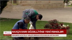 Naxçıvanın gözəlliyinə yeni rənglər qatılır