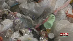 RC returns to old recycling schedule after public input