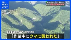"Attacked by a bear while working": 60-year-old man bitten on face and arms, hospitalized with bl...