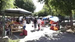 Paradajz na muci – suša prepolovila rod, pijaca sve praznija