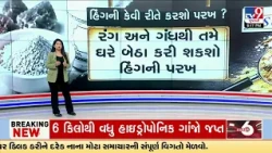 GFX: હિંગની કેવી રીતે કરશો પરખ? | How to Check Pure Hing at Home? Try This Simple Water Test | TV9