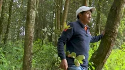 #ProtagonistasDeNuestroTiempo | PINPEP Quetzaltenango