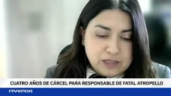 Driver who fled after fatal hit-and-run in Punta Arenas sentenced to four years in prison