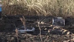 Gorele pčele – požar sa njive stigao i do košnica