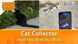 Cat Collector เกมถ่ายรูปสะสมแมวที่เจอ | แซ่บทูเดย์