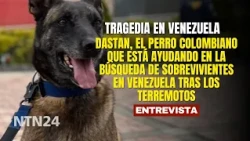 Dastan, the Colombian dog helping to search for survivors in Venezuela after the earthquakes