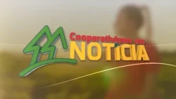Cooperativism in the News – Oct. 25, 2026