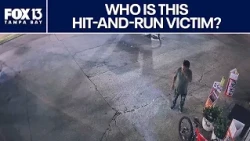 Florida hit-and-run: Victim's identity unknown