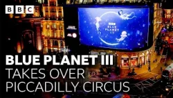 Blue Planet III takes over Piccadilly 🤯🌊🐳 - BBC