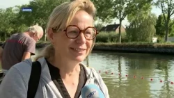 Swimming in the Vaart in Leuven is a huge success: "Fun because it’s usually not allowed"