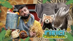 Fíricí Fíochmhara | Rogha an Choimeádaí | Amhrán 🐆