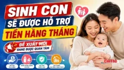 Monthly Financial Support for Newborns: A New Proposal Gains Attention | Can Tho