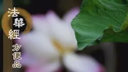 【靜思妙蓮華】法華經方便品第二 - 深信實相之法 - 第214集｜共修版