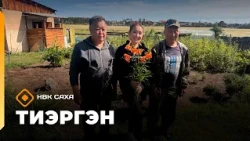 «Тиэргэн» Иннокентий Аполлонович  үүнээйини ууһатар туһунан олус туһалаах сүбэлэри биэрдэ (17.08.26)
