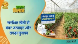 Safal Kisan | सफ़ल किसान- संरक्षित खेती से बंपर उत्पादन और तगड़ा मुनाफ़ा | DD Kisan |September 01, 2026